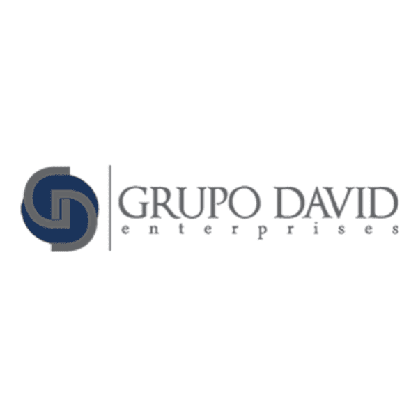 Grupo David